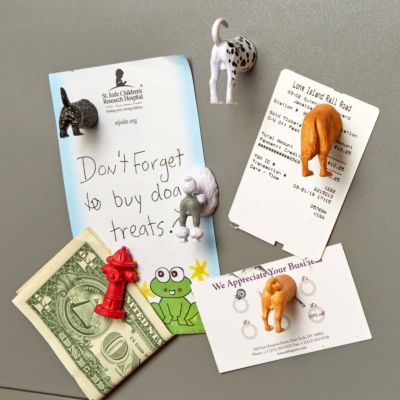 Lot de 6 Aimants Derrières de chien