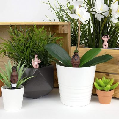 Figurines Pot de fleurs Nudistes 