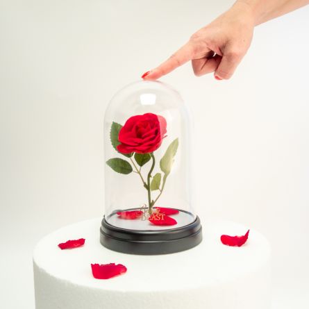 Lampe Rose Enchantée - La Belle et la Bête