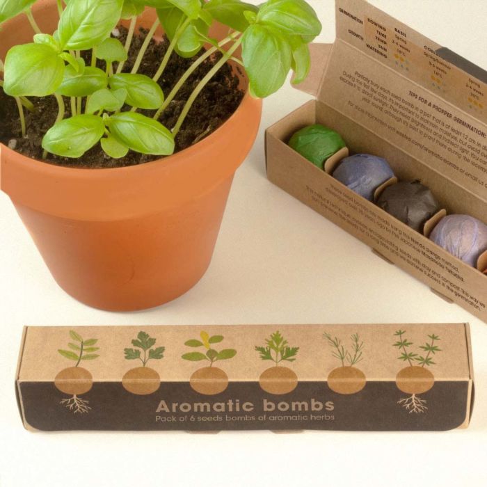 Bombes à graines Herbes Aromatiques – Lot de 6