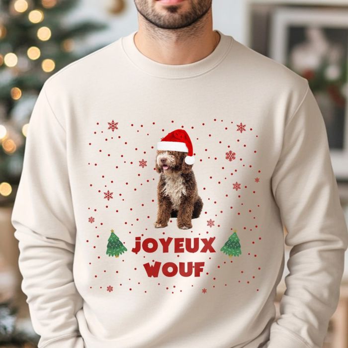 Pull de Noël personnalisé avec animal de compagnie et texte