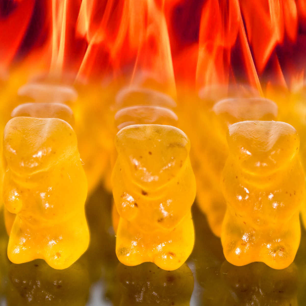 Des oursons diablement piquants !
