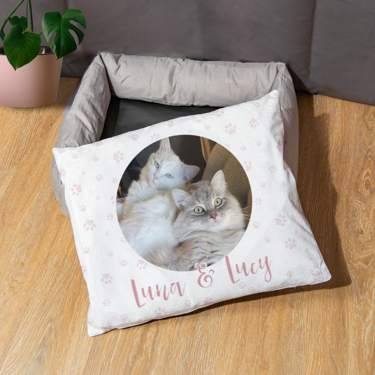 Panier pour Chien avec Photo et Texte