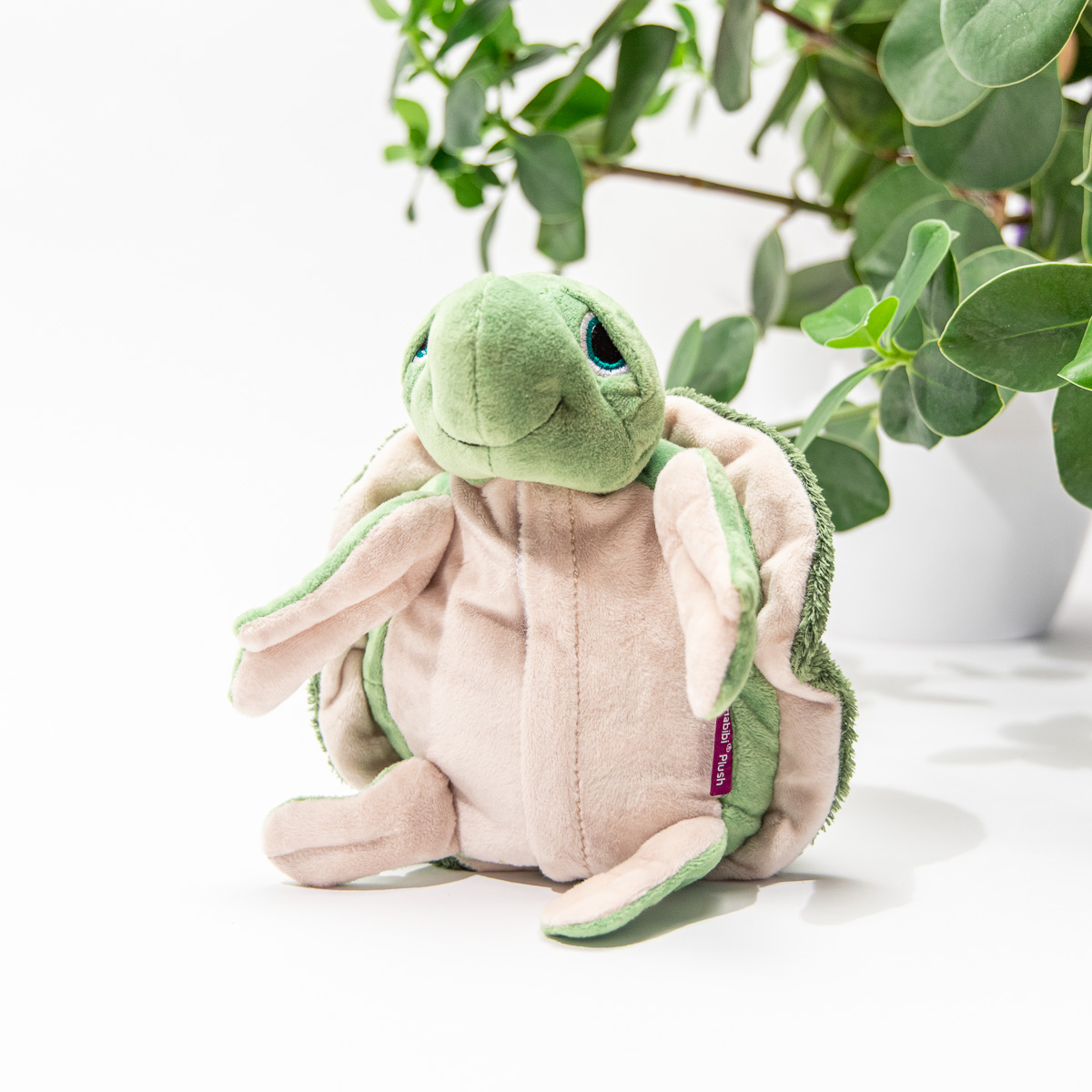 Tortue Chauffante