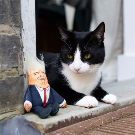 Peluche pour Chats Président