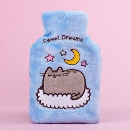 Mini Bouillote Pusheen