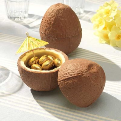 Cadeau papa - Noix de coco en Chocolat (avec ses petits œufs en chocolat)
