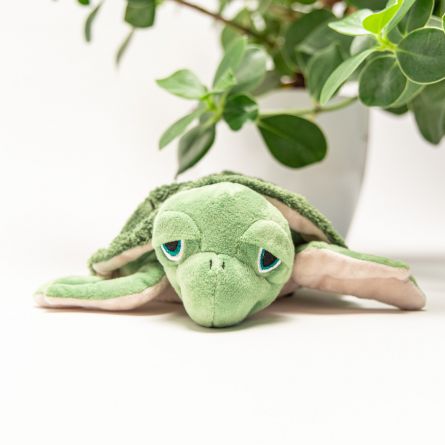 Tortue Chauffante